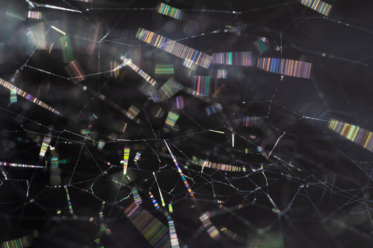 Abstract Web in Dark Light