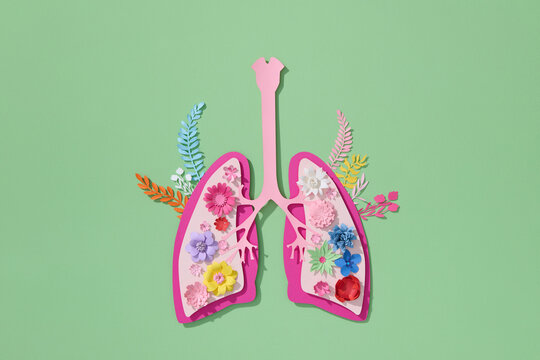 Lungs with flowers, symbolizing the balance of nature and clean air