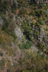 Aerial shots of forest and trees at the island of Madeira. From the cable car at Funchal. 