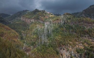 Aerial shots of forest and trees at the island of Madeira. From the cable car at Funchal. 