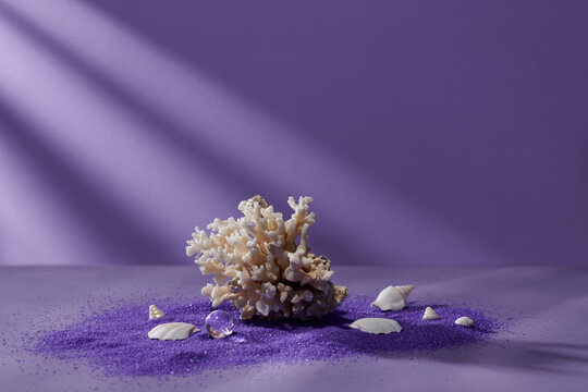 Beautiful exotic sea coral, shells and sand on purple background