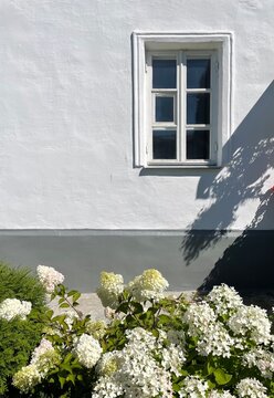 A white house with a window, surrounded by blooming hydrangea flowers