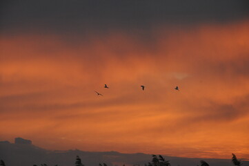 The beautiful landscape of cloud sky with sunset