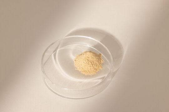 Fine Powdered Maca Root on Transparent Petri Dish 