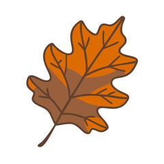 Oak leaf icon in brown and orange tones on transparent background