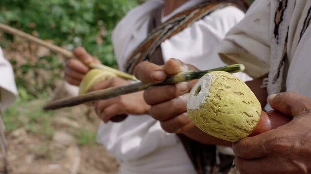 Indigena Arhuaco utilizando  poporo -Colombia -sierra nevada de Santa Marta- Colombia