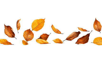 A line of autumn leaves are falling from the sky