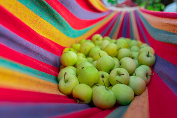 beautiful apples in a hammock