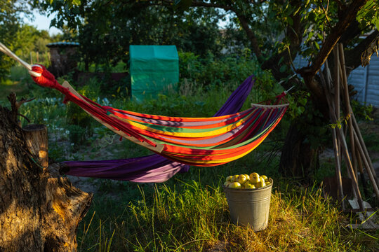 hammock in the private sector