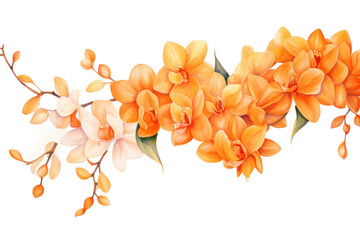 PNG Flower plant petal chandelier.