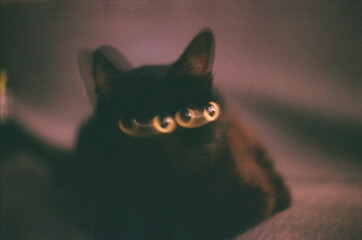 Black cat in motion with multiple eyes 