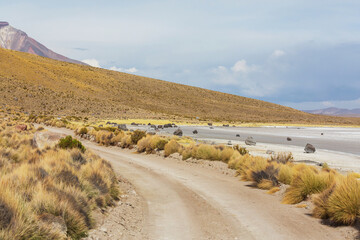 Northern Chile