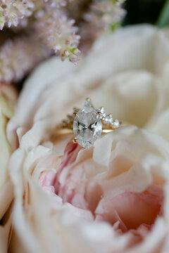 Sparkling Engagement Ring Sitting in Pink Flower Petals