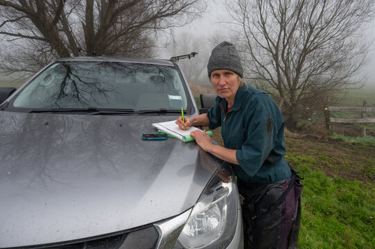 Veterinarian writing docket of farm visit