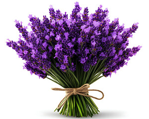 Fototapeta premium Lavender bouquet, vibrant purple, tied with twine, white isolated background.