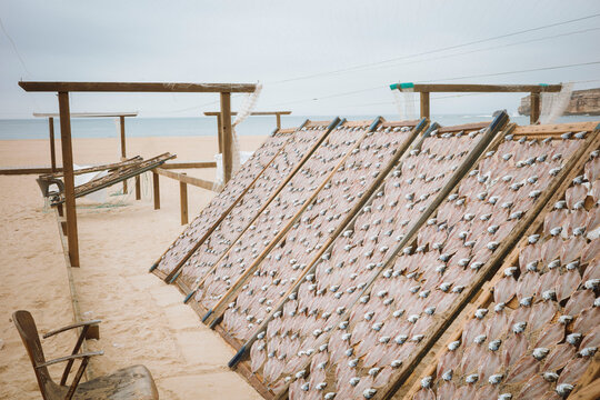 Traditional Fish Drying on a Beach in Nazare, Portugal