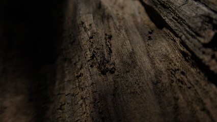 Weathered Wood with Deep Grooves.
