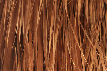 Dry palm leaves background. Nature background. Palm leaves background, wallpaper