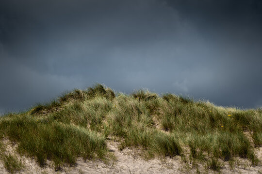 San dunes in front of a stormy sky