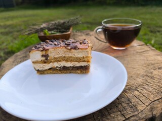 piece of delicious cake on a white plate. High quality photos