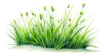 PNG Grass green flower plant.