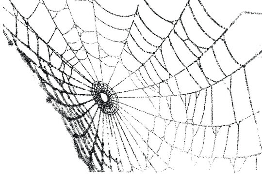 spider web holloween element dot stripple art. texture interior background line art. set of graphics elements drawing design. 
