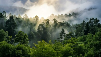 濃い霧に包まれた森の神秘的で静寂なシーンです。木々は霧の中に消え、夢のようで幻想的な雰囲気を作り出しています。