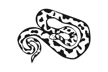 Snake silhouette illustration. Black serpent isolated on a white background. Vector tattoo design. Reptile Symbol of the New Year 2025.