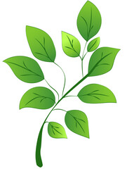 A green leafy branch with detailed leaves, presented in a vibrant graphic style, against a white background. Vector illustration