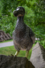 Dronte Marice figurine outside plastic.
