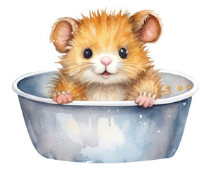 PNG Animal hamster bathtub mammal.