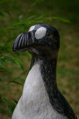 Detail of the head of an alka large figurine.
