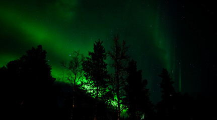 aurora borealis above kiruna, sweden