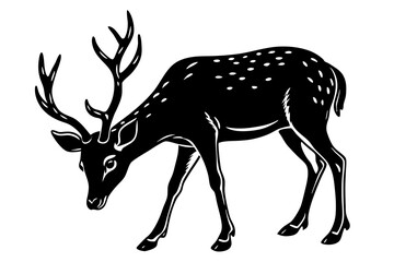 silhouette of a deer