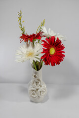 Decorative white flower vase with white and red Chrysanthemum flower arrangement, red and white daisy flowers against a white background