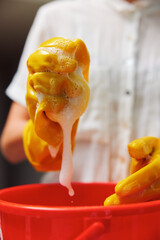 Woman in yellow rubber gloves cleaning a bucket with soap and sponge in front of another woman in white shirt
