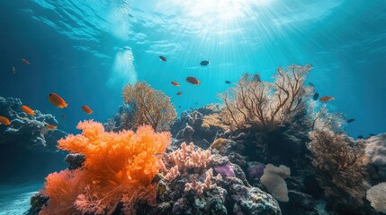 Vibrant Underwater Scene with Coral Reef and Fish