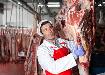 Male butcher showing beef chunk in meat storage