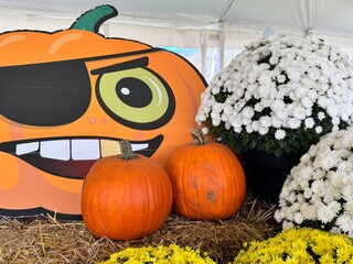 Pumpkins at a fair in Canada on Halloween