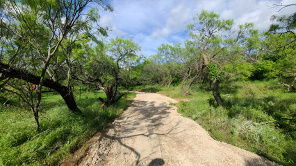 Farmland driveway