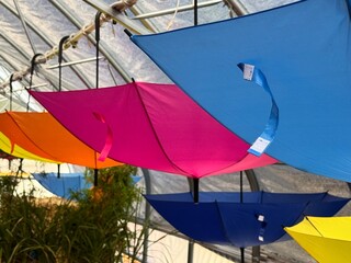 Multicolored umbrellas on the ceiling at a fair in Canada