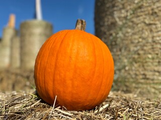 Pumpkins at a fair in Canada on Halloween