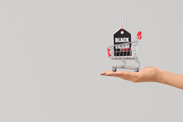 Female hand holding shopping cart and tag with text BLACK FRIDAY SALE on grey background