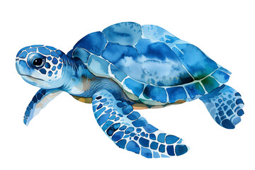 Blue watercolor turtle isolated on transparent background.