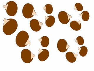 A digital design of a pattern of raw  chessnuts in a white background