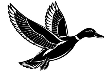 Naklejka premium Flying mallard duck vector art illustration 