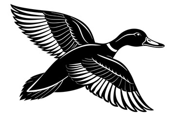 Flying mallard duck vector art illustration 