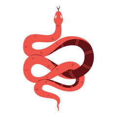 Obraz premium Vector Chinese New Year Snake Ornament Cartoon Illustration Isolated