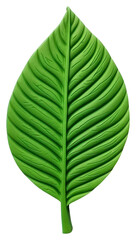 Obraz premium PNG Plasticine of a leaf plant white background annonaceae.