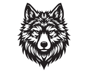 wolf head vector illustration